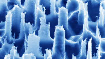 Le dispositif portable capture des molécules aéroportées pour une détection de maladie non invasive