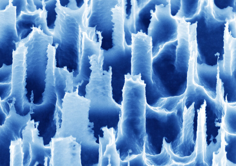 Le dispositif portable capture des molécules aéroportées pour une détection de maladie non invasive Le dispositif portable capture des molécules aéroportées pour une détection de maladie non invasive