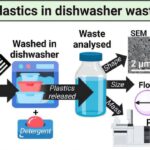 Le nettoyage des contenants en plastique dans un lave-vaisselle est une source de pollution microplastique, les résultats de l'étude Le nettoyage des contenants en plastique dans un lave-vaisselle est une source de pollution microplastique, les résultats de l'étude