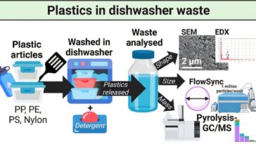 Le nettoyage des contenants en plastique dans un lave-vaisselle est une source de pollution microplastique, les résultats de l'étude