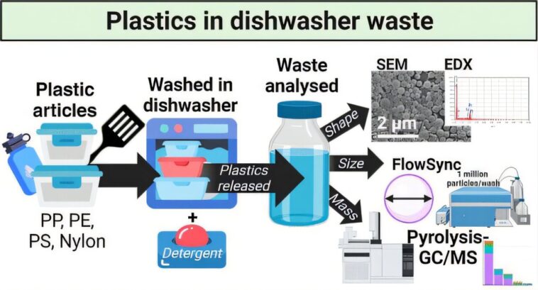 Le nettoyage des contenants en plastique dans un lave-vaisselle est une source de pollution microplastique, les résultats de l'étude Le nettoyage des contenants en plastique dans un lave-vaisselle est une source de pollution microplastique, les résultats de l'étude