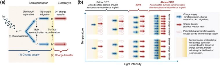 Le paramètre nouvellement proposé identifie les étapes de limitation des taux dans la photocatalyse pour les gains d'efficacité