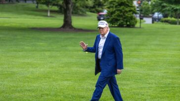 Le pardon de Donald Trump place les loyalistes de maga au-dessus de la loi