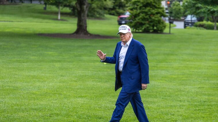 Le pardon de Donald Trump place les loyalistes de maga au-dessus de la loi