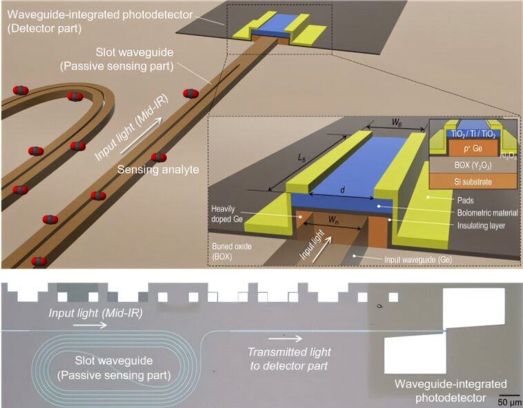 Le photodétecteur infrarouge à température ambiante promet des progrès dans la surveillance environnementale et médicale Le photodétecteur infrarouge à température ambiante promet des progrès dans la surveillance environnementale et médicale