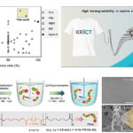 Le polymère marin-biodégradable se décompose de 92% en un an, rivaux en nylon en force Le polymère marin-biodégradable se décompose de 92% en un an, rivaux en nylon en force