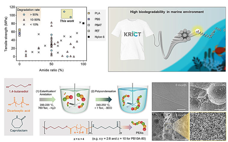 Le polymère marin-biodégradable se décompose de 92% en un an, rivaux en nylon en force