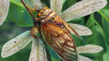 Une illustration d'une cigale dorée assise sur une branche verdoyante vertigineuse