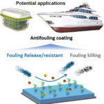 Le revêtement dégradable en silicone-hydrogel offre une protection biofulling marine efficace
