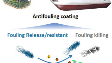 Le revêtement dégradable en silicone-hydrogel offre une protection biofulling marine efficace