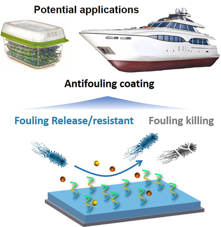 Le revêtement dégradable en silicone-hydrogel offre une protection biofulling marine efficace