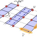 Le simulateur quantique réalise les phases de Mott-Meissner en interaction fortement dans les échelles de flux bosonique
