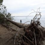 Le tourisme en plein essor et le changement climatique menacent la côte de l'Albanie