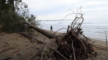 Le tourisme en plein essor et le changement climatique menacent la côte de l'Albanie
