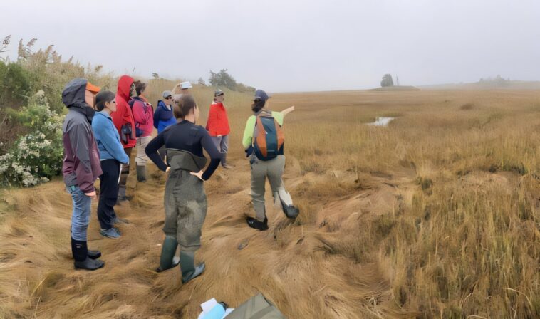 Les États-Unis se doublent des combustibles fossiles alors que le financement de l'adaptation climatique est sur le blocage de coupe