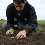 Les agriculteurs britanniques prient pour la pluie au milieu du printemps le plus sec depuis 1852 Les agriculteurs britanniques prient pour la pluie au milieu du printemps le plus sec depuis 1852