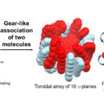 Les anneaux moléculaires synthétiques recréent le flux d'énergie trouvé dans les plantes Les anneaux moléculaires synthétiques recréent le flux d'énergie trouvé dans les plantes
