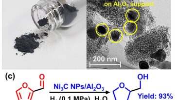 Les catalyseurs en métal peuvent être précieux, même lorsqu'ils ne sont pas précieux