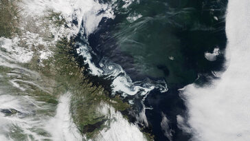 Les changements de densité d'eau peuvent entraîner des changements rapides dans la force AMOC