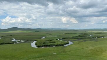 Les changements de végétation accélérés des changements climatiques à la fin du Miocène, découvre l'étude