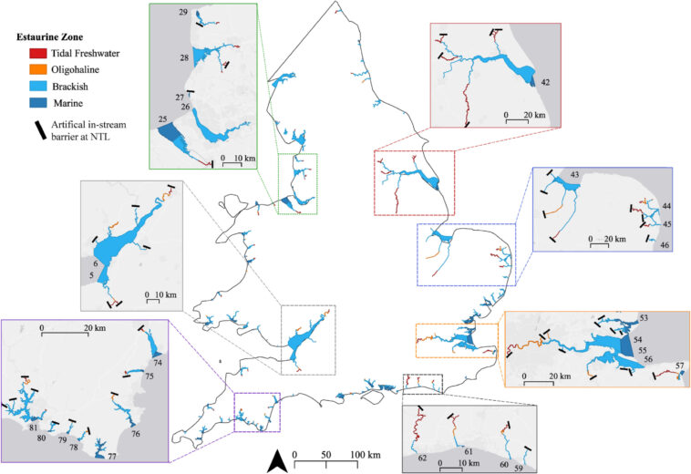 Les chercheurs révèlent un risque pour les écosystèmes estuariens menacés par le changement climatique et le développement