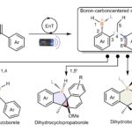Les chimistes développent une nouvelle approche pour synthétiser des boracycles à quatre membres stables à air