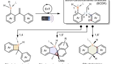 Les chimistes développent une nouvelle approche pour synthétiser des boracycles à quatre membres stables à air