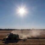 Les craintes pour les cultures alors que la sécheresse frappe l'Europe du Nord