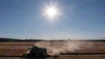 Les craintes pour les cultures alors que la sécheresse frappe l'Europe du Nord