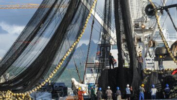 Les données sensibles au genre apportent plus de profondeur à la planification spatiale marine