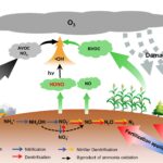 Les émissions d'acide nitreuses en hausse du sol entraînées par le changement climatique et la fertilisation accélèrent la pollution globale de l'ozone: étude