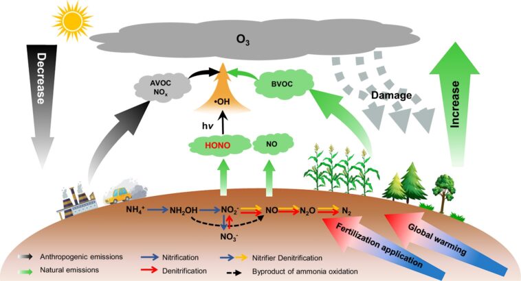 Les émissions d'acide nitreuses en hausse du sol entraînées par le changement climatique et la fertilisation accélèrent la pollution globale de l'ozone: étude