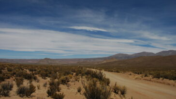 Les facteurs naturels stimulent principalement la désertification en Asie centrale, l'étude révèle
