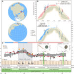 Les fossiles d'huîtres brisent le mythe de la saisonnalité faible dans le climat en serre Les fossiles d'huîtres brisent le mythe de la saisonnalité faible dans le climat en serre