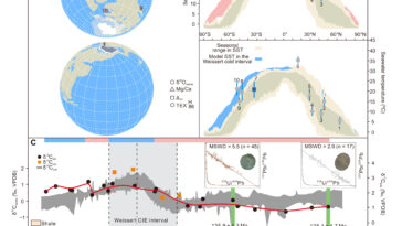Les fossiles d'huîtres brisent le mythe de la saisonnalité faible dans le climat en serre