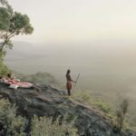 Les images captivantes exposent une «version mise en scène» de la nature