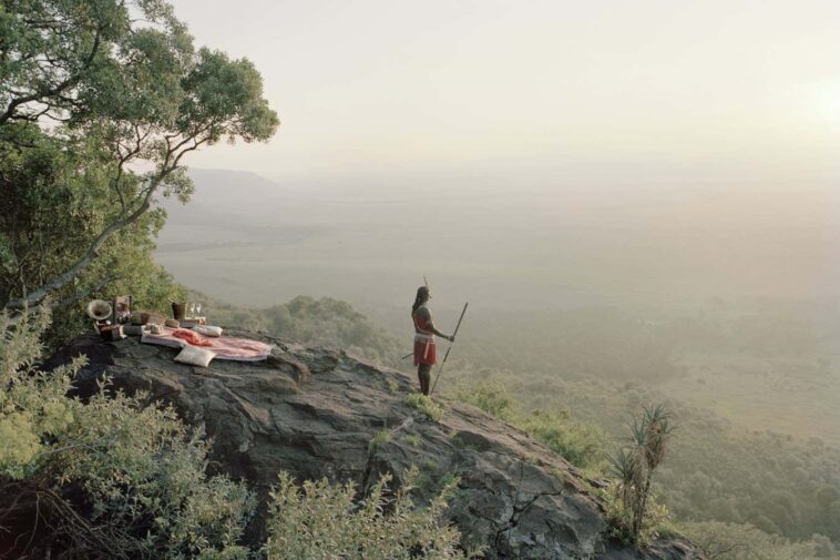 Les images captivantes exposent une «version mise en scène» de la nature