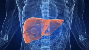 Les médicaments comme Wegovy peuvent être efficaces pour traiter les maladies hépatiques