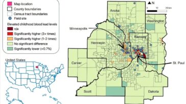 Les papillons montrent que la pollution du plomb est toujours un problème dans les villes jumelles