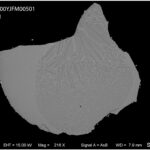 Les perles de verre offrent une fenêtre sur les profondeurs cachées de la lune Les perles de verre offrent une fenêtre sur les profondeurs cachées de la lune