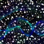 Les photons s'usent-ils? Un astrophysicien explique la capacité de Light à parcourir de grandes distances cosmiques sans perdre de l'énergie