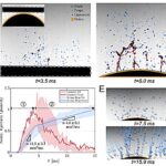 Les physiciens déterminent comment couper les oignons avec moins de larmes Les physiciens déterminent comment couper les oignons avec moins de larmes