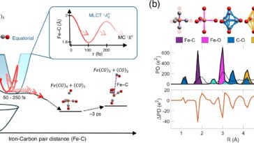 Les rayons X ultrafast capturent les mouvements atomiques dans les molécules de catalyseur activé par la lumière