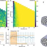 Les réseaux inspirés de la physiologie pourraient améliorer la prise de décision politique Les réseaux inspirés de la physiologie pourraient améliorer la prise de décision politique