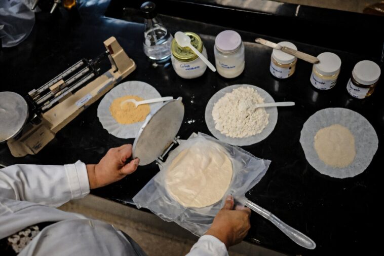 Les scientifiques du Mexique développent une tortilla pour les personnes sans réfrigérateur Les scientifiques du Mexique développent une tortilla pour les personnes sans réfrigérateur
