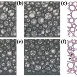 Les scientifiques emportent le mystère derrière pourquoi les mousses sont plus fumantes que prévu Les scientifiques emportent le mystère derrière pourquoi les mousses sont plus fumantes que prévu