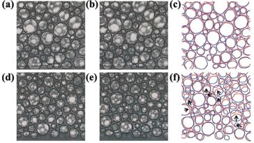 Les scientifiques emportent le mystère derrière pourquoi les mousses sont plus fumantes que prévu