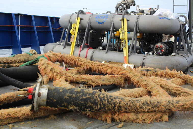 Les scientifiques utilisent la salinité pour retracer les changements dans l'océan côtier nord-est américain