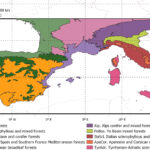 Les sécheresses et les vagues de chaleur réduisent la capacité des plantes à absorber le co₂, les résultats de l'étude