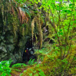 Les sédiments de grottes de 20 000 ans sur l'île d'Alaska fournissent de nouveaux indices climatiques